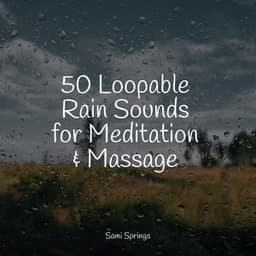 50 Loopable Rain Sounds for Meditation & Massage - Ambient Rain