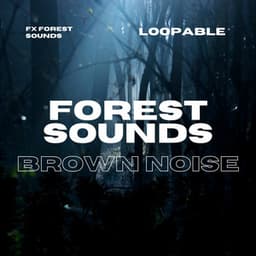 Forest Sounds for Sleeping or Studying , Loopable - Brown Noise Baby