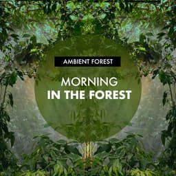Morning in the Forest - Ambient Forest