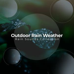 Outdoor Rain Weather - Rain Sounds Collection