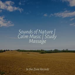 Sounds of Nature | Calm Music | Study Massage - Música Relajante para Bebés