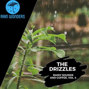 The Drizzles - Rainy Sounds and Coffee, Vol. 4 - Rain Sounds
