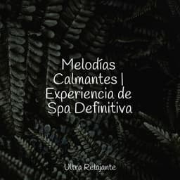Melodías Calmantes | Experiencia de Spa Definitiva - Musica Para Dormir Profundamente