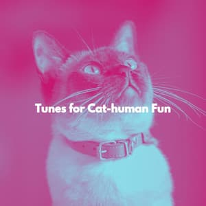 Tunes for Cat-human Fun - Música para Cocinar