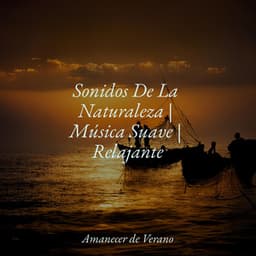 Sonidos De La Naturaleza | Música Suave | Relajante - Canciones Para Niños