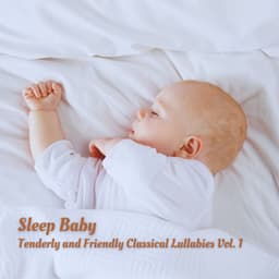 Sleep Baby: Tenderly and Friendly Classical Lullabies Vol. 1 - Bedtime with Classic Lullabies