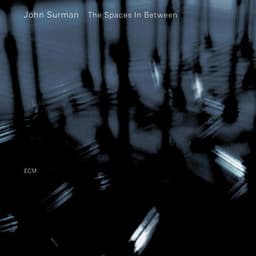 The Spaces In Between - John Surman