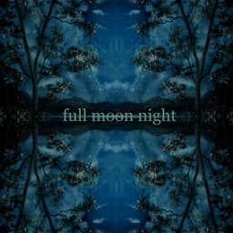 Full Moon Night - Generix