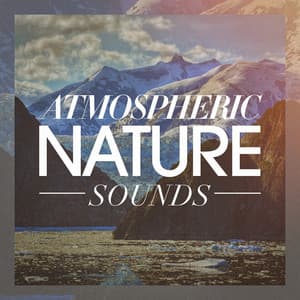 Atmospheric nature sounds - Nature Sounds