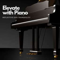 Elevate with Piano: Reflective Dog Tranquility - Sad Fiona