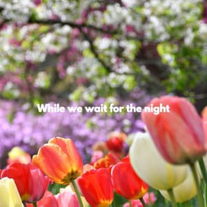 While we wait for the night - Hotel Jazz Deluxe