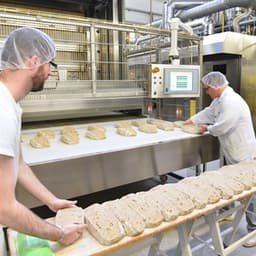 Smooth Productivity: Ambient Music for Stress-Free Workdays - Elemental Samples