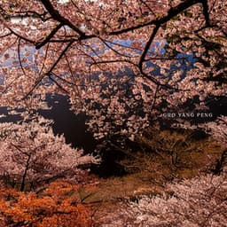 Hanami Silence - Guo Yang Peng