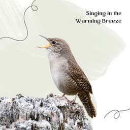 Singing in the Warming Breeze - Serenarbor