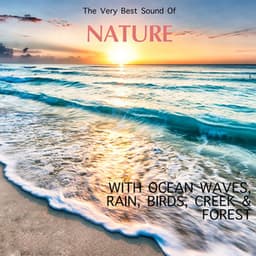 The Very Best Sound Of Nature - Ocean Waves, Rain, River, Birds - Thanael Wendtura