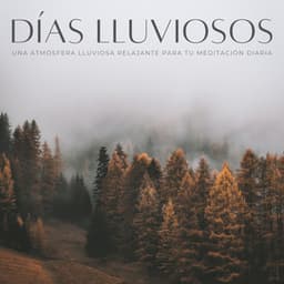 Días Lluviosos: Una Atmósfera Lluviosa Relajante Para Tu Meditación Diaria - Fábrica de Sonidos de Lluvia STHLM