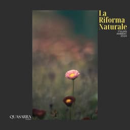 La Riforma Naturale - Meditation Ambience