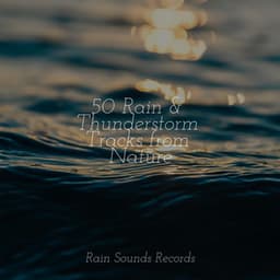 50 Rain & Thunderstorm Tracks from Nature - Binaural Beats Brainwave Entrainment