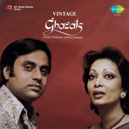 Vintage Ghazals - Chitra Singh