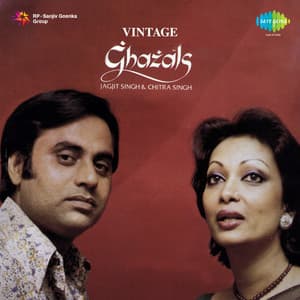 Vintage Ghazals - Chitra Singh