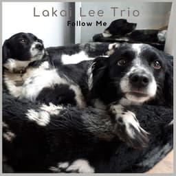 Follow Me - Lakai Lee Trio