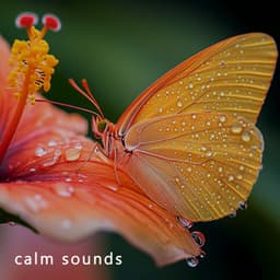 Silent Hum Retreat - Baby Shushing