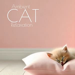 Ambient Cat Relaxation: Midnight Sleeping, Cat Music, Meditation Wellness for Cats - Pet Music Academy