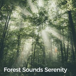 Forest Sounds Serenity - BLITZ