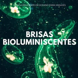 Brisas Bioluminiscentes: Música Relajante De Océano Para Masajes - Ruidos de la Naturaleza