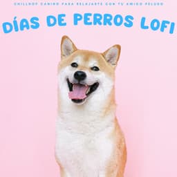 Días De Perros Lofi: Chillhop Canino Para Relajarte Con Tu Amigo Peludo - Ritmos Lofi Hop-Hop
