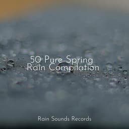 50 Pure Spring Rain Compilation - Sleep Sound Library