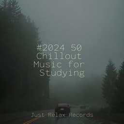 #2024 50 Chillout Music for Studying - Nature Sound Collection