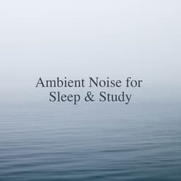 Ambient Noise for Sleep & Study - Easy Sleep Music