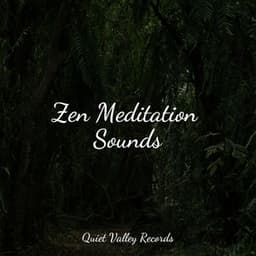 Zen Meditation Sounds - The Sleep Helpers