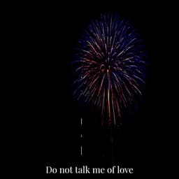 Do Not Talk Me of Love - Lory Dem