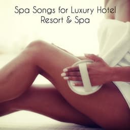 Spa Songs for Luxury Hotel Resort & Spa - The Cocoon