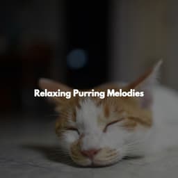 Relaxing Purring Melodies - Soothing Dinner Music