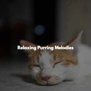 Relaxing Purring Melodies - Soothing Dinner Music