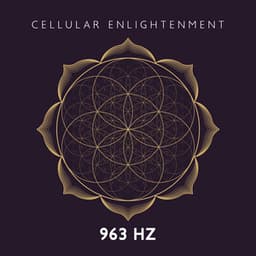 Cellular Enlightenment: Frequency of Gods - Nimah Chantis
