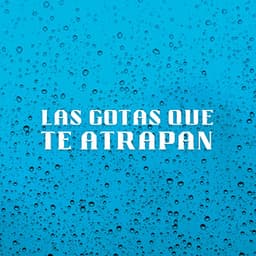 Las Gotas Que Te Atrapan - Lluvia en el Bosque