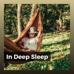 In Deep Sleep - Ruhige Musik