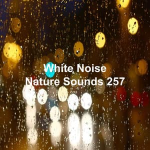 White Noise 257 - White Noise