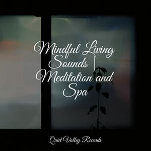 Mindful Living Sounds | Meditation and Spa - Soothing Music Academy