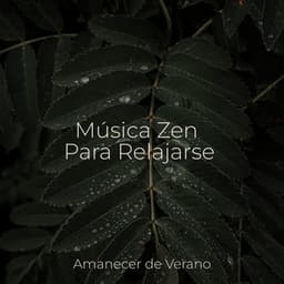 Música Zen Para Relajarse - Musica para Meditar