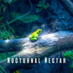 Nocturnal Nectar: Light Rain and Frog Melodies for Sleep - Night Crickets