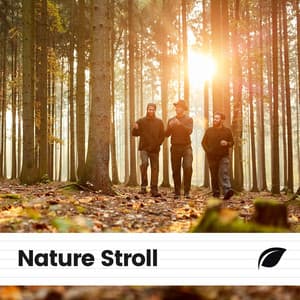 Nature Stroll - Zen Garden Secrets