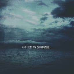 The Calm Before - Matt Elliott