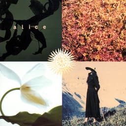 Mezzogiorno Sulle Alpi - Alice