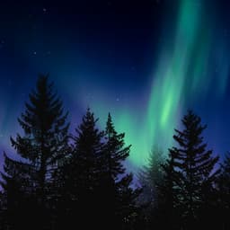 Velvet Midnight - Milli Davis