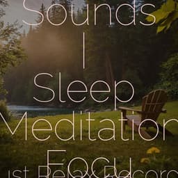 Powerful Sounds | Sleep Meditation Focus - Lullabies for Deep Meditation